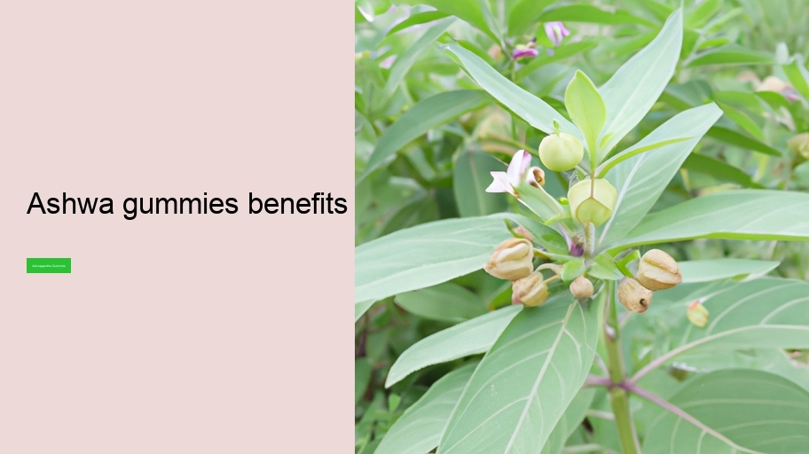 ashwa gummies benefits