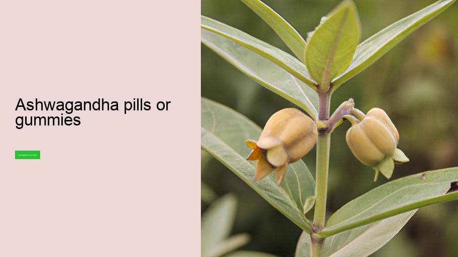 ashwagandha pills or gummies