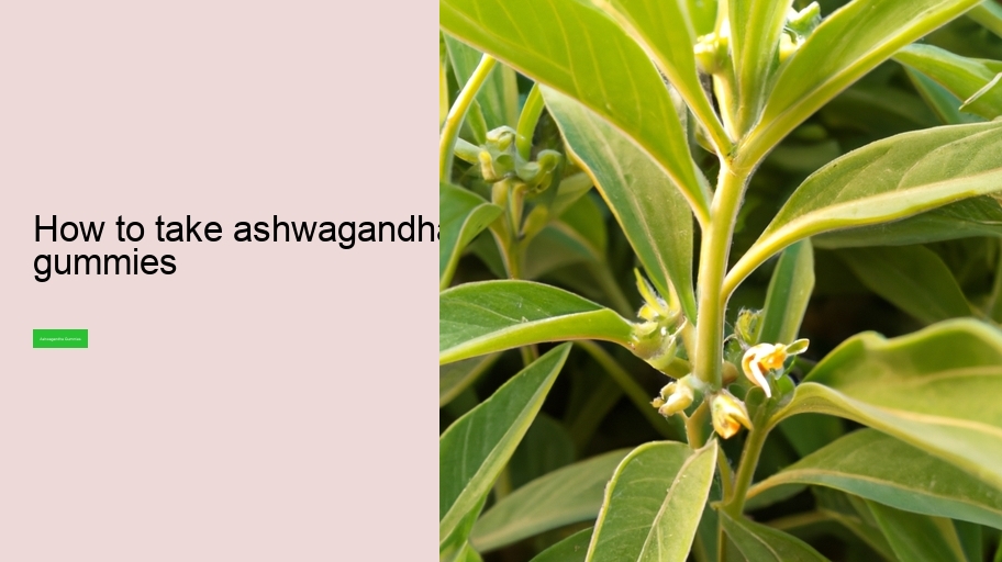 how to take ashwagandha gummies