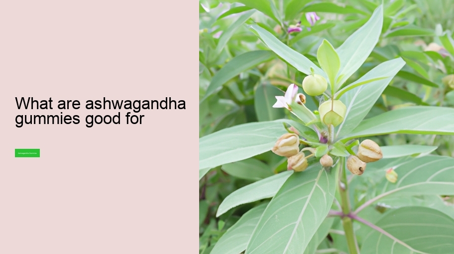 what are ashwagandha gummies good for