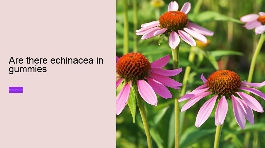 are there echinacea in gummies