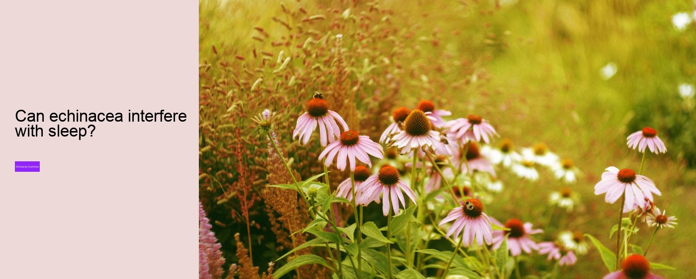 Does echinacea react with anything?