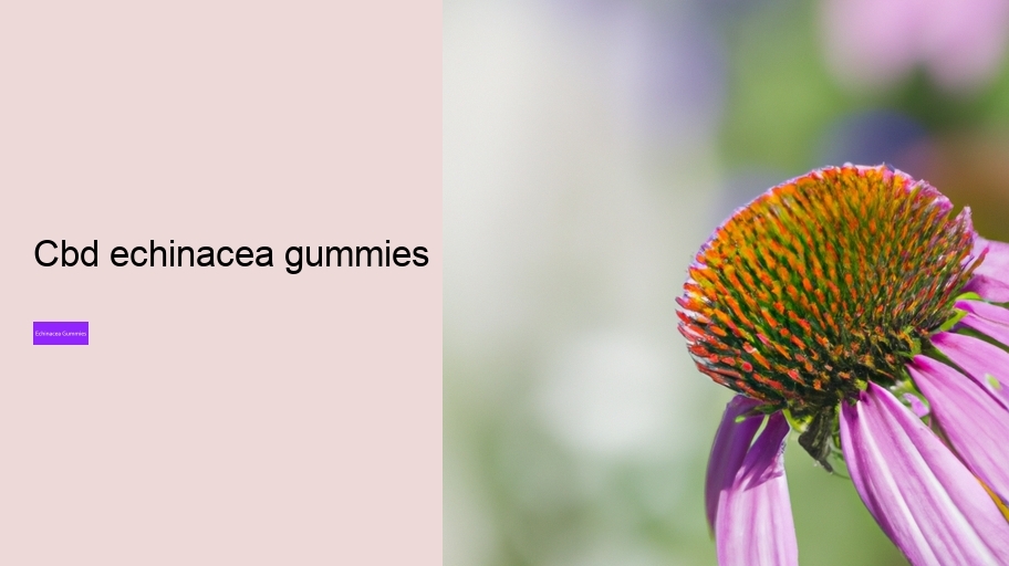 cbd echinacea gummies