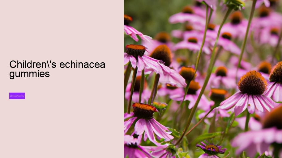 children's echinacea gummies