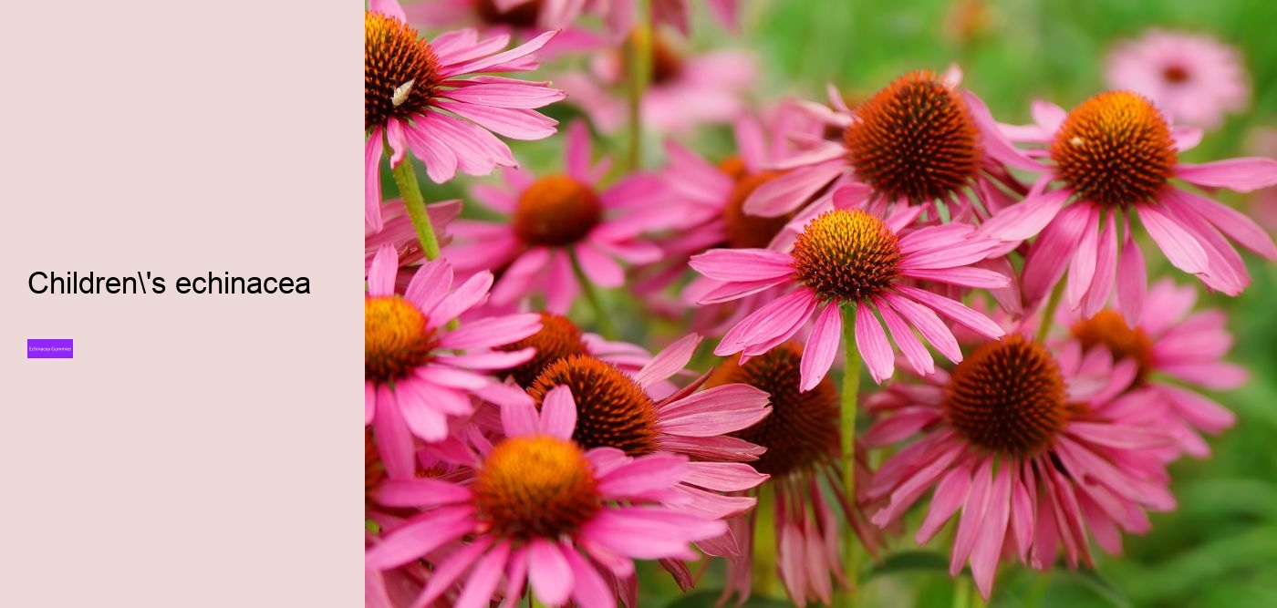 What does echinacea do for hormones?