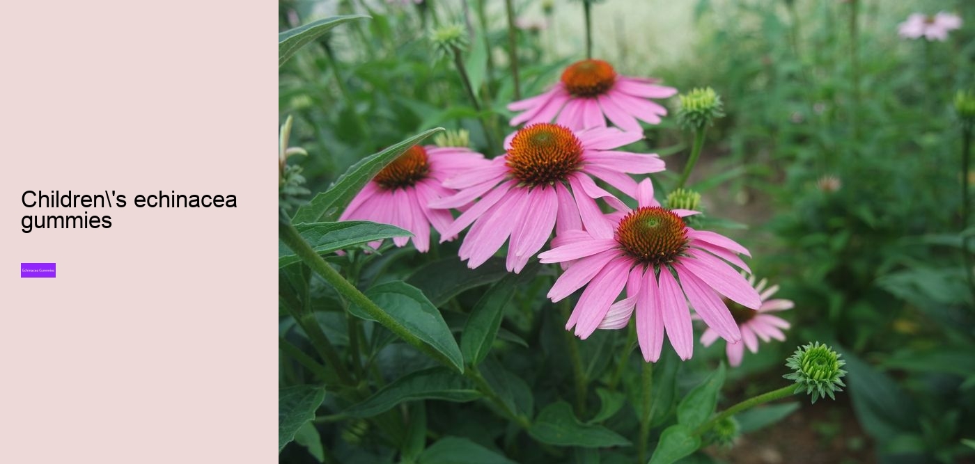 echinacea for kids gummies