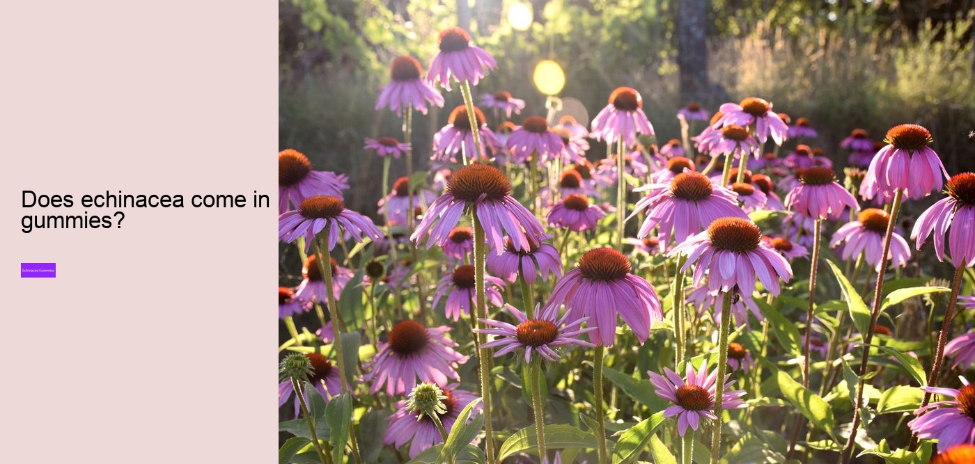 Does echinacea cause blood clots?