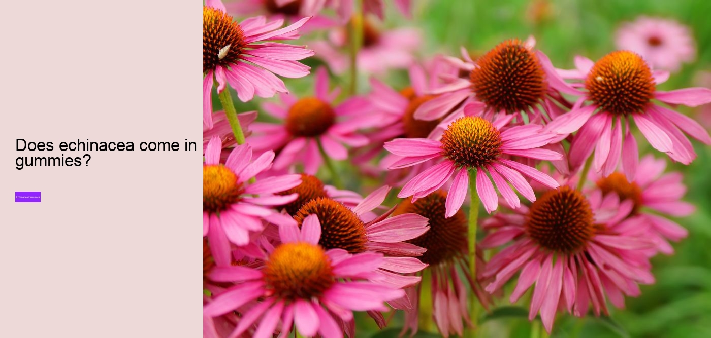 Will echinacea keep you awake?