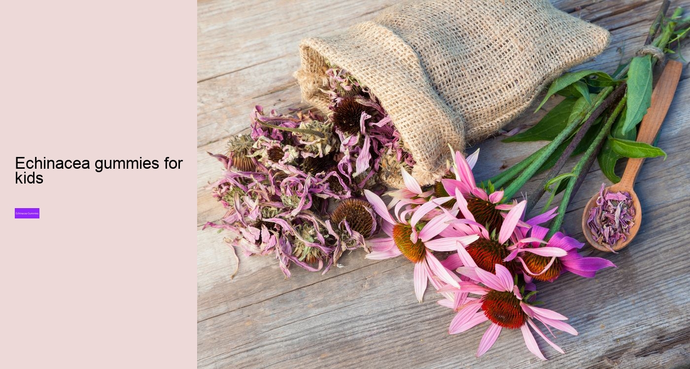 Does echinacea help with fatigue?