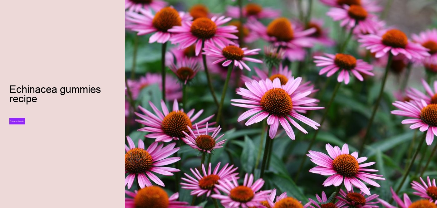 Is it OK to take echinacea every day?