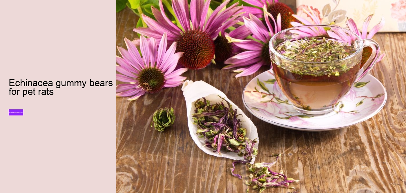 Will echinacea keep you awake?