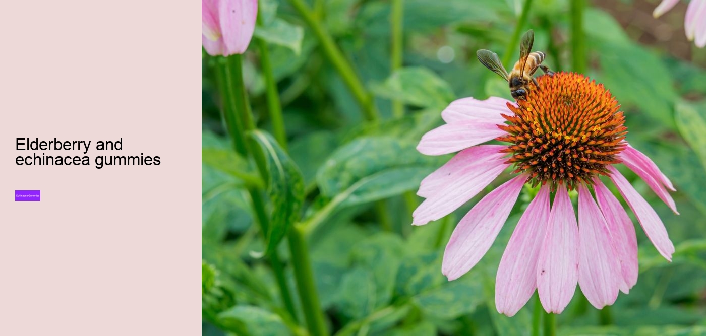 Does echinacea help when you are already sick?