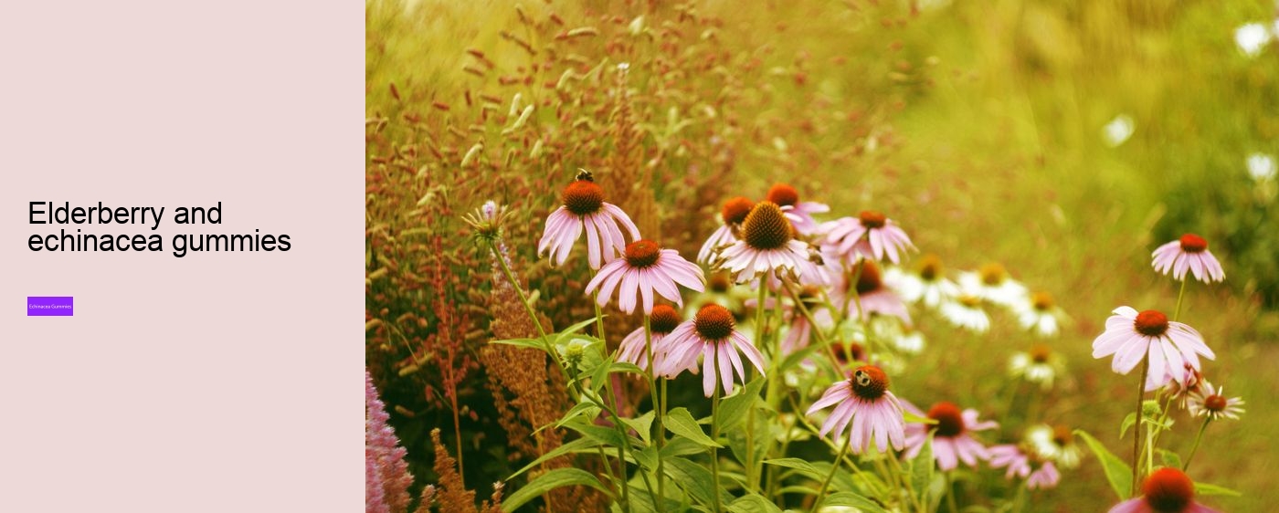 What drugs does echinacea interact with?