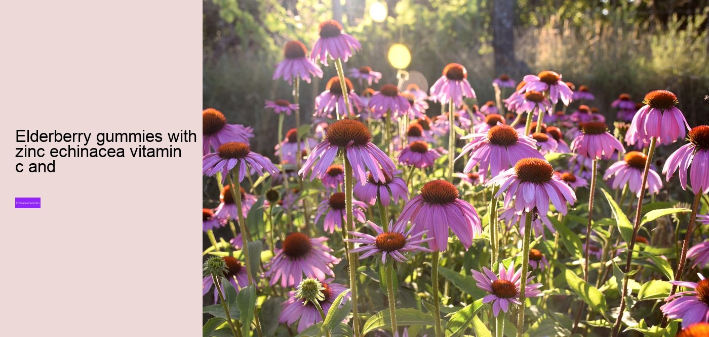 gummy cuties echinacea