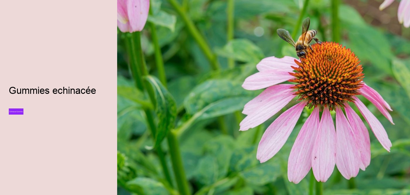 gummy echinacea