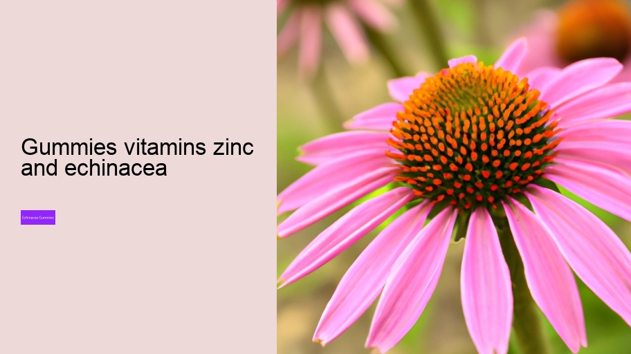 gummies vitamins zinc and echinacea