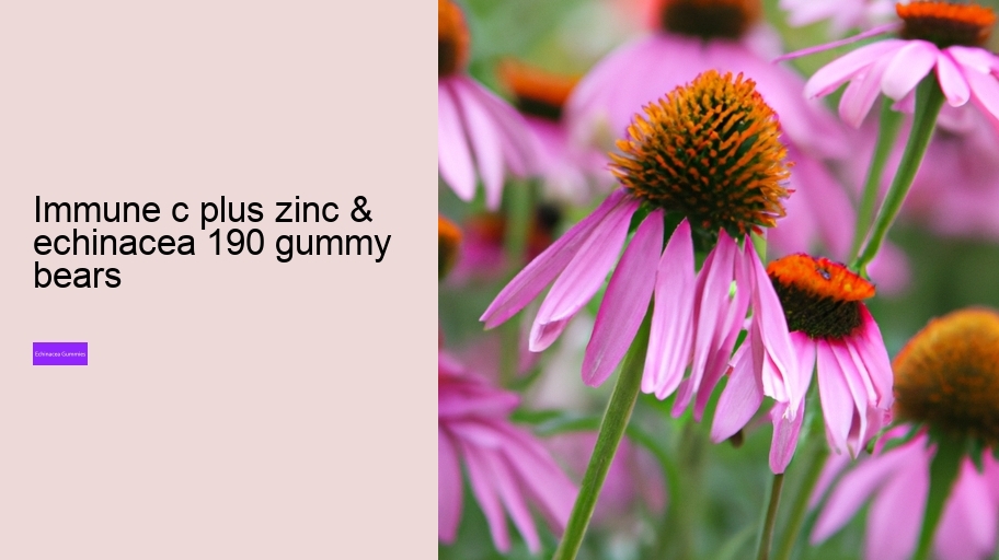 immune c plus zinc & echinacea 190 gummy bears