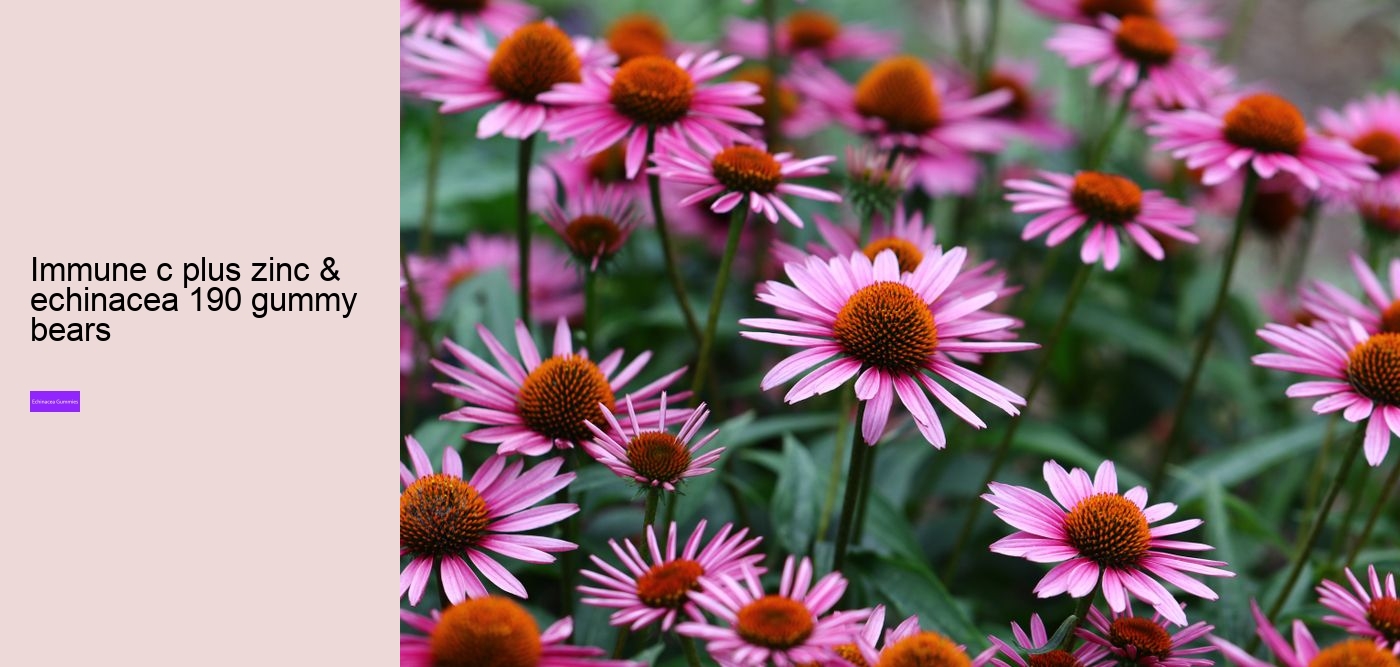 elderberry gummies with echinacea