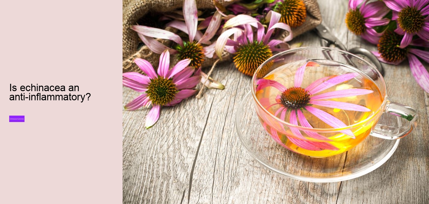 Does echinacea come in gummies?