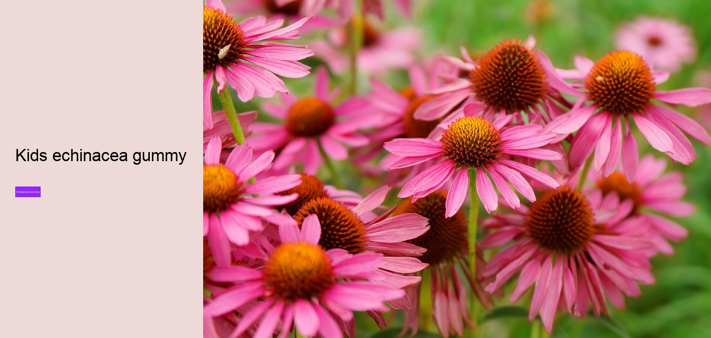 Can you take echinacea and vitamin C at the same time?