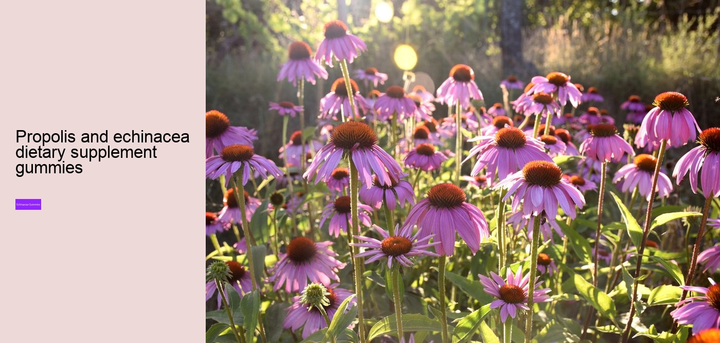 vitamin c echinacea gummy bears