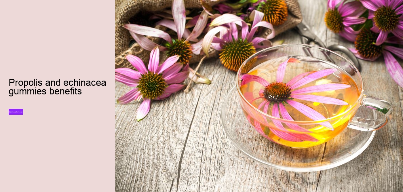 echinacea gummies for kids