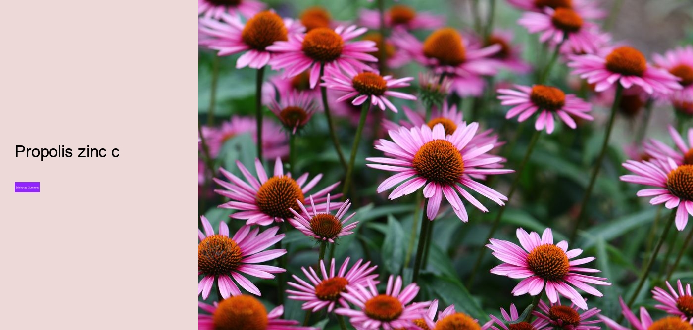 What to avoid when taking echinacea?