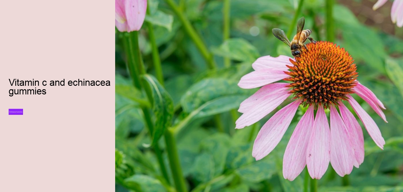 What drugs does echinacea interact with?