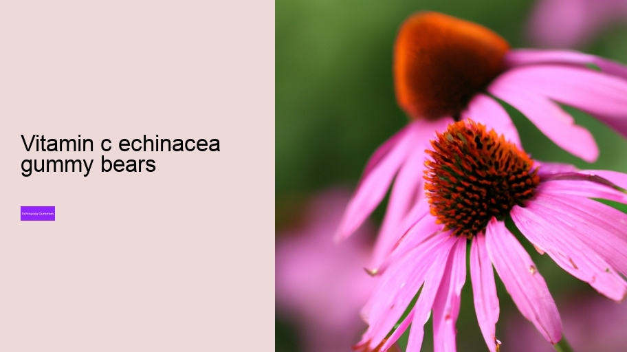 vitamin c echinacea gummy bears