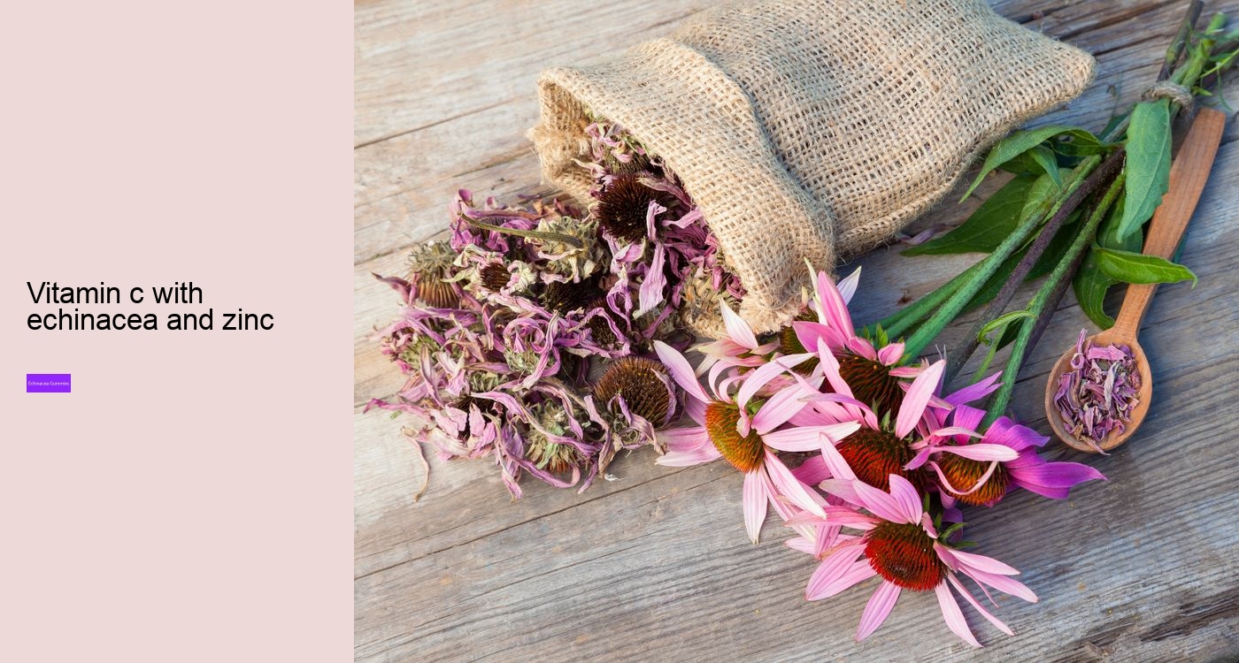 Who Cannot take echinacea?