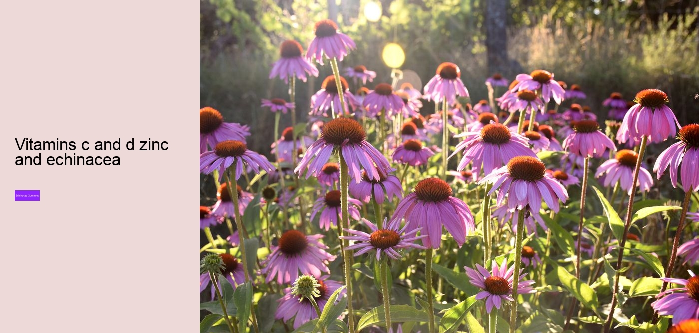 Does echinacea help with hair growth?
