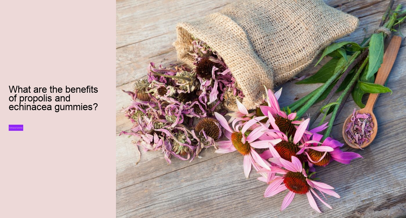 Who should not take echinacea?