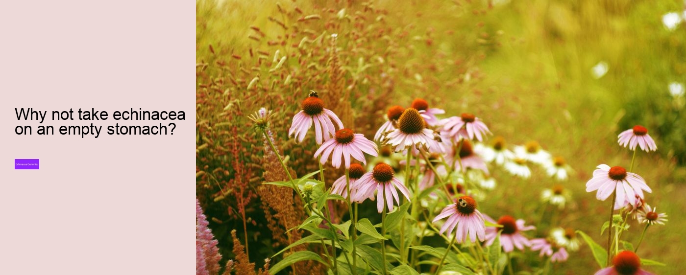 vitamin c and echinacea