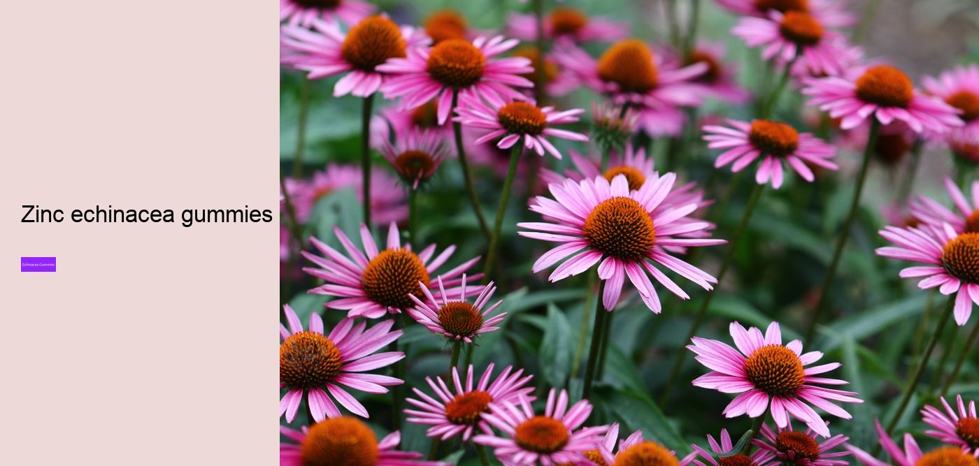 elderberry gummies with echinacea