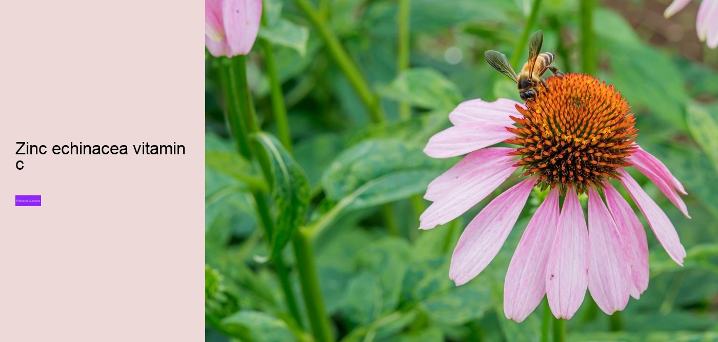 Will echinacea keep you awake?