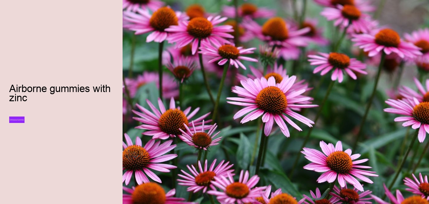 echinacea nature valley gummies