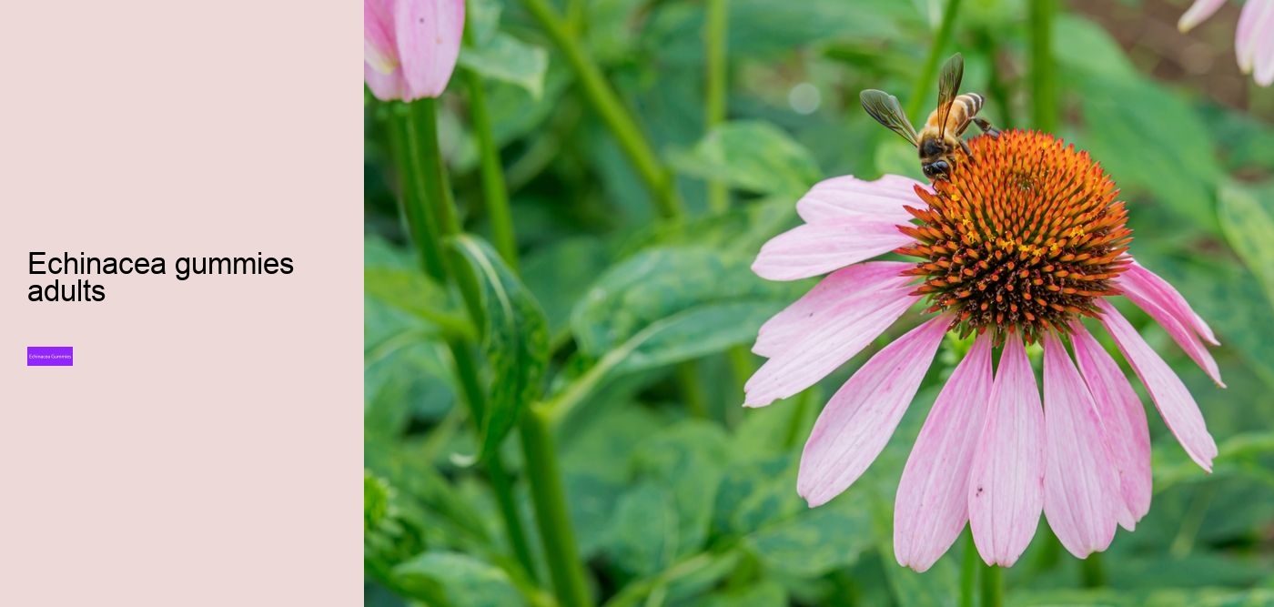 gummies vitamins zinc and echinacea