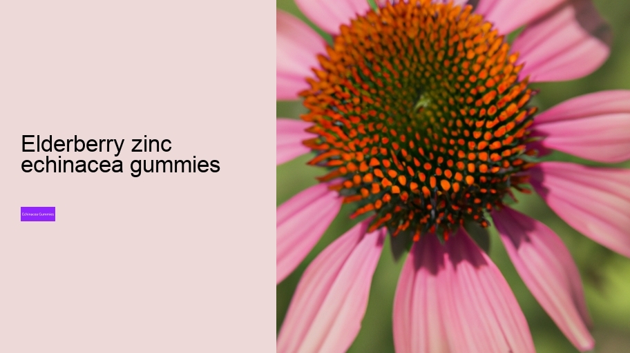 elderberry zinc echinacea gummies