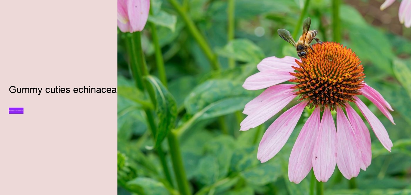 echinacea gummies for toddlers