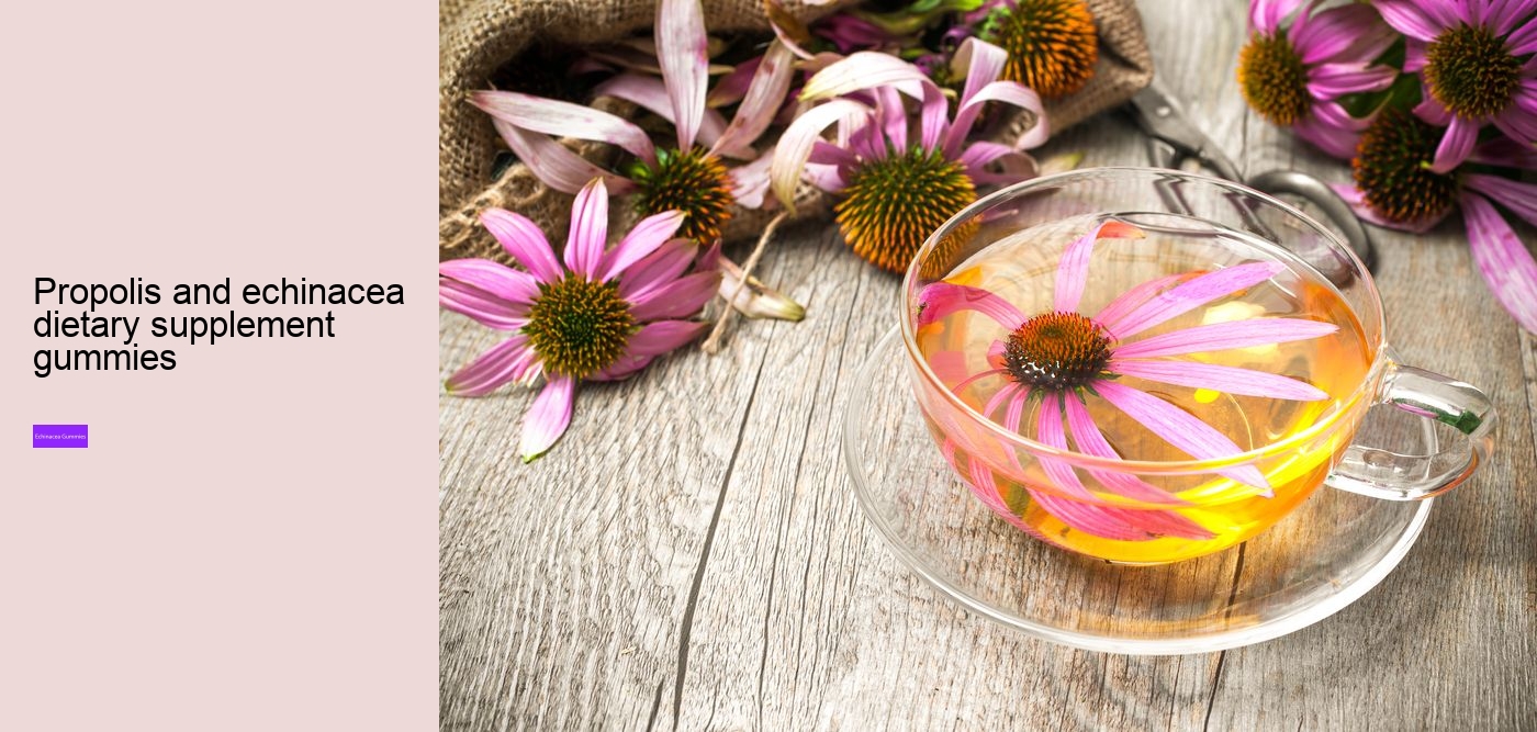 Is it worth taking echinacea?