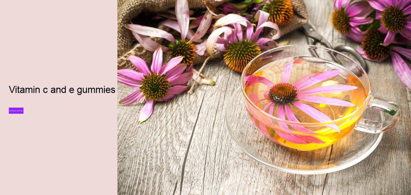 elderberry zinc echinacea gummies