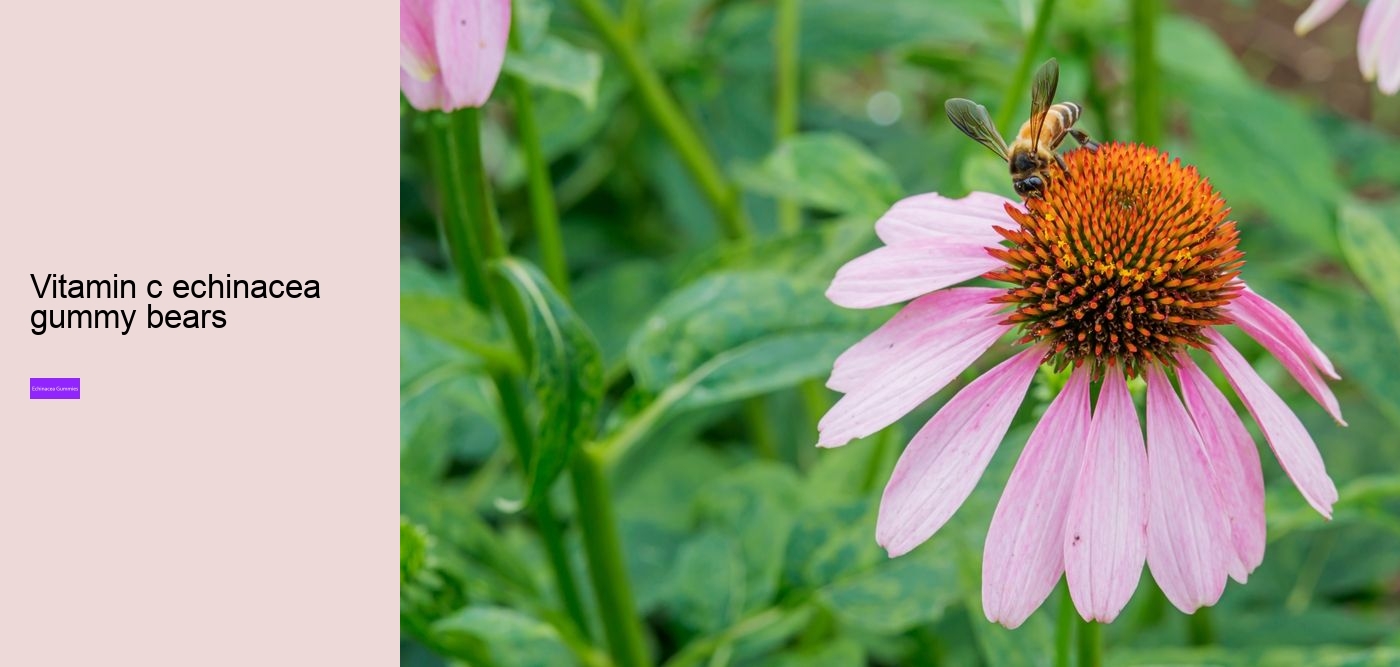 multivitamin gummies with echinacea