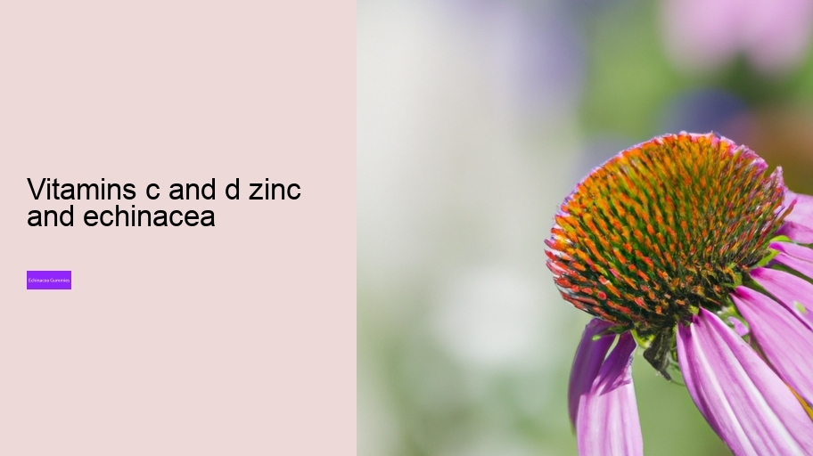 vitamins c and d zinc and echinacea