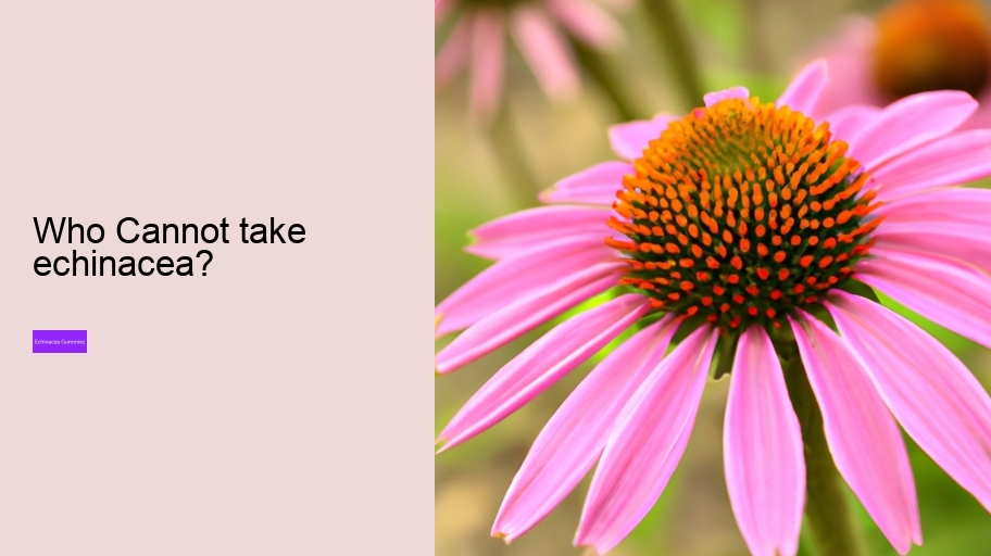 Who Cannot take echinacea?