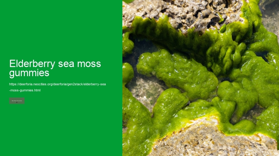 elderberry sea moss gummies