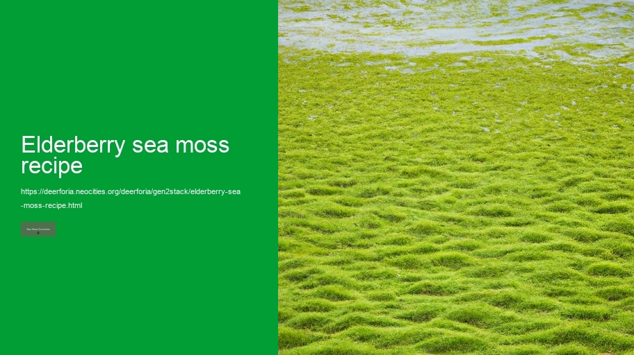 elderberry sea moss recipe