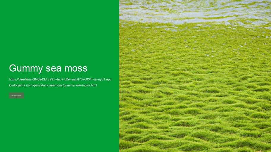 gummy sea moss