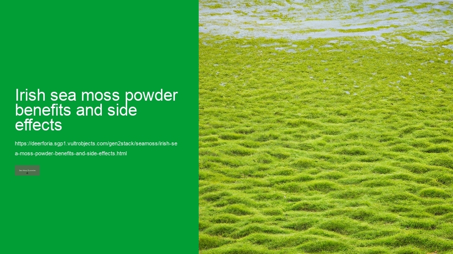 irish sea moss powder benefits and side effects